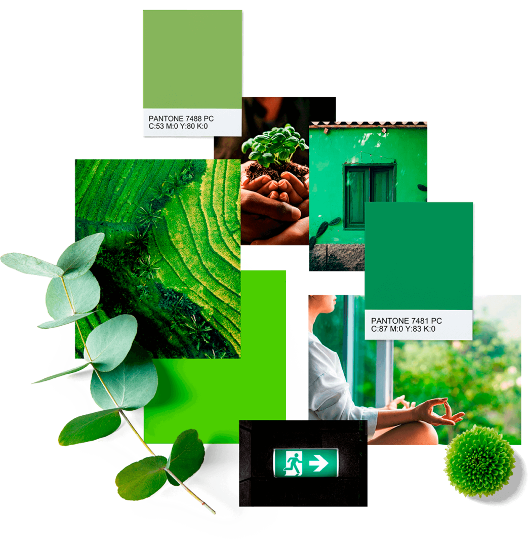 fundo-color-book-norna-branding-verde-3 c